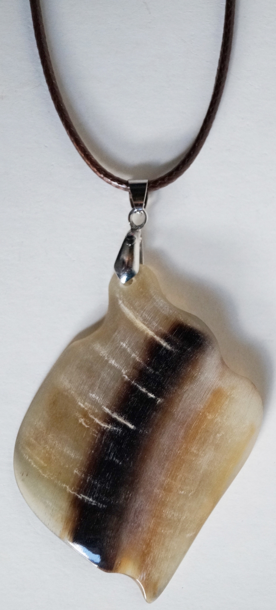 Medalion Natural Buffalo Horns and Hoofs
