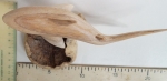 Wooden Mushroom Shark Handmade