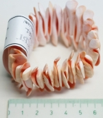 Bracelet shell