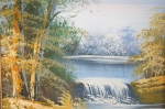 Picture Forest