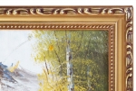 Picture Forest