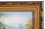Picture Forest