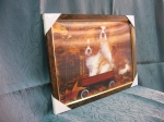 Picture Dogs 3D