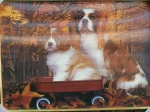 Picture Dogs 3D