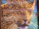 Picture Leopard 3D