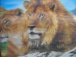 Picture Lions 3D