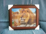 Picture Lions 3D