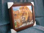 Picture Lions 3D