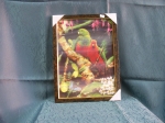 Picture Parrots 3D