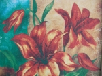 Picture lilium