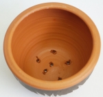Ceramic pot