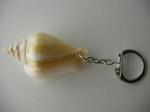 Keychain Rapana
