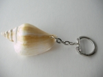 Keychain Rapana