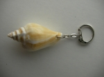 Keychain Rapana