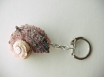 Keychain Rapana