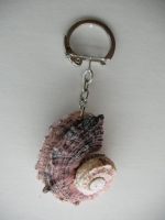 Keychain Rapana