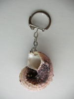 Keychain Rapana