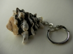 Keychain Rapana