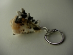 Keychain Rapana