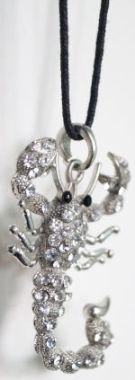 Necklace Scorpion