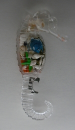 Magnet Sea horse