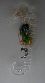 Magnet Sea horse