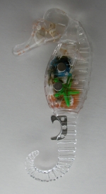 Magnet Sea horse