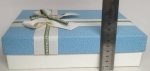 Small rectangular light blue gift box