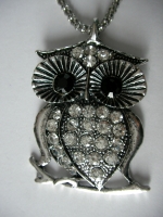 Medallion buch