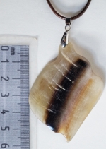 Medalion Natural Buffalo Horns and Hoofs