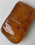 Medallion natural stone amber Kaliningrad
