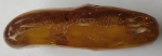 Medallion natural stone amber Kaliningrad