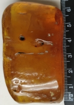 Medallion natural stone amber Kaliningrad
