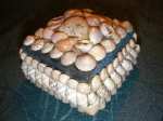 Shell box