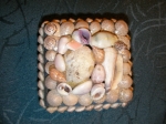 Shell box