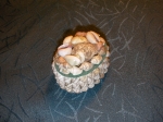 Shells box for jewelry