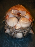 Shell box
