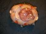 Shell box