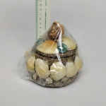 Shells box