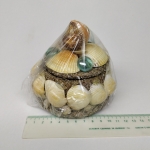 Shells box