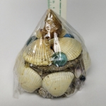 Shells box