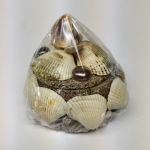 Shells box