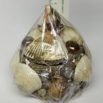 Shells box