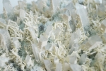 Mineral cluster