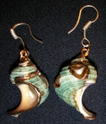 Earrings shell
