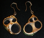 Ocean shell earrings