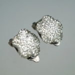 Earrings clip