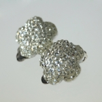 Earrings clip