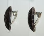 Earrings clip