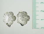 Earrings clip